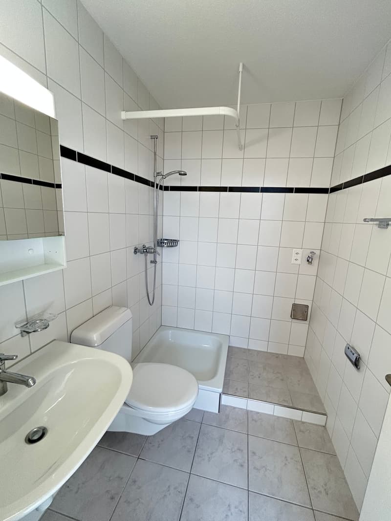 Gemütliche 2.5-Zimmer-Dachwohnung in Bettlach – ruhige Lage mit viel Sonne (16)