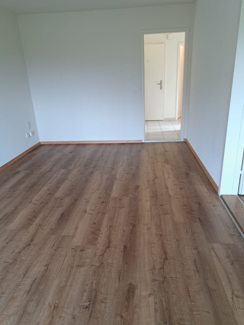 Helle 3-Zimmer-Wohnung mit Balkon und Panoramablick in Pieterlen (13)