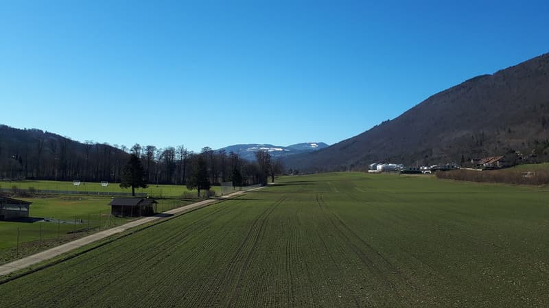 Helle 3-Zimmer-Wohnung mit Balkon und Panoramablick in Pieterlen (2)