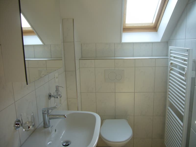 Gemütliche 1- Zimmer-Dachwohnung in Wangen an der Aare (8)