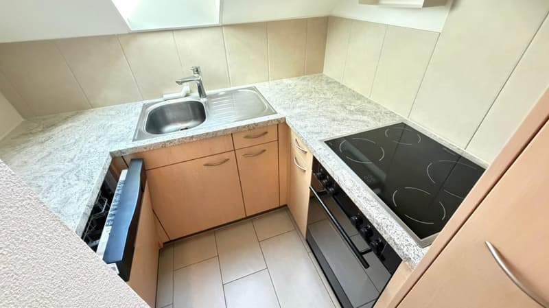 Gemütliche 1- Zimmer-Dachwohnung in Wangen an der Aare (4)