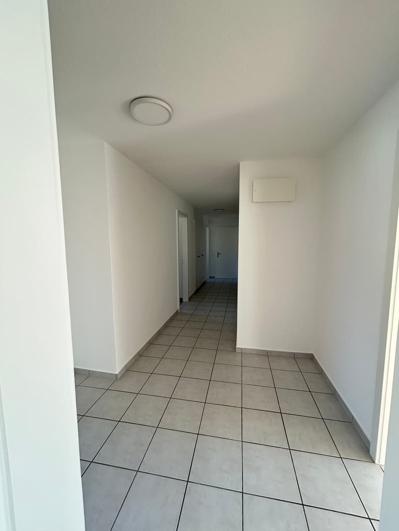 Helle 4-Zimmer-Wohnung mit Balkon in Niedergösgen – frisch renoviert! (25)