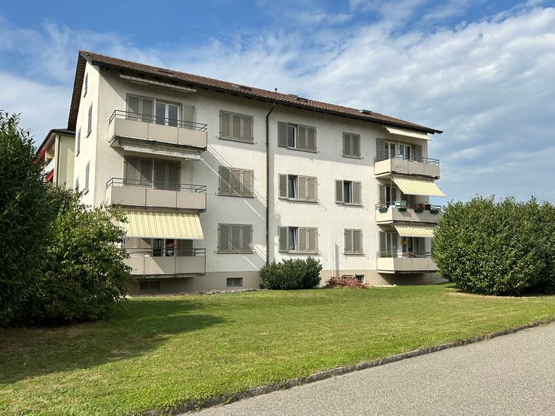 Helle 3-Zimmer-Wohnung mit Balkon  in Däniken SO (2)