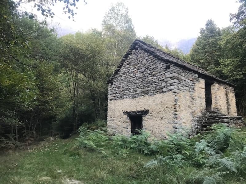 A rustic, stone building with a thatched roof, surrounded by lush greenery and trees. The building appears to be an old, abandoned structure, with a fireplace visible on the exterior.
