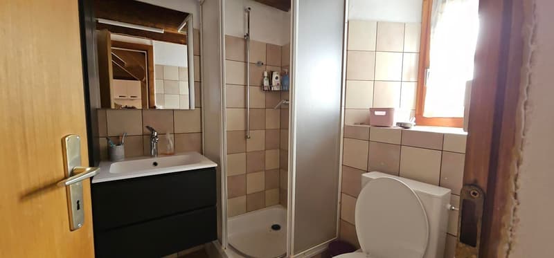 The bathroom includes a sink, a toilet, and a glass-enclosed shower with showerhead.