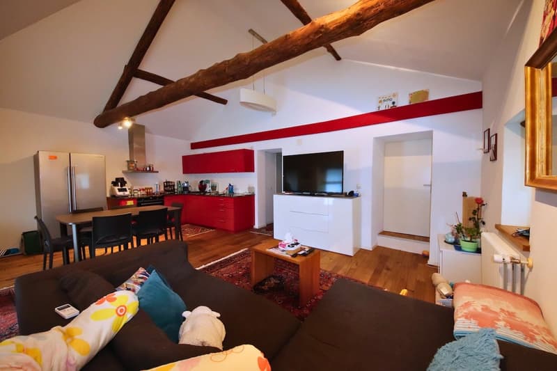 Casa di 5.5 locali a Bellinzona, che fascino (2)