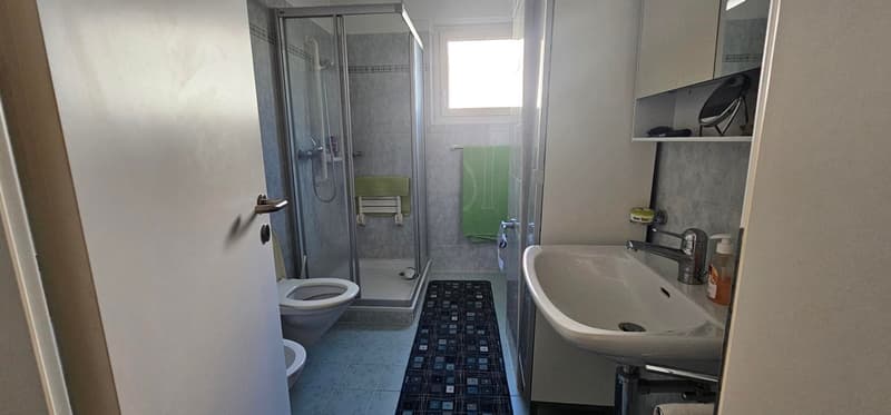 Bathroom with a toilet, shower, sink, towel rack, and soap dispenser.