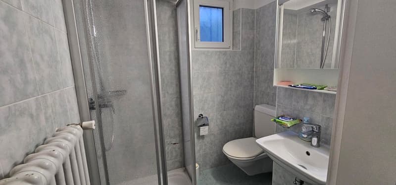 small bathroom with shower, toilet, sink, small mirror, small shelf, towel radiator
