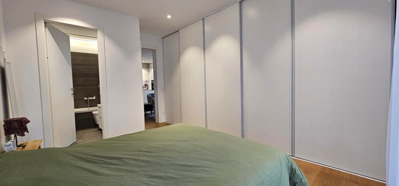 Splendido appartamento 5.5 locali a Cadempino con vista panoramica (7)