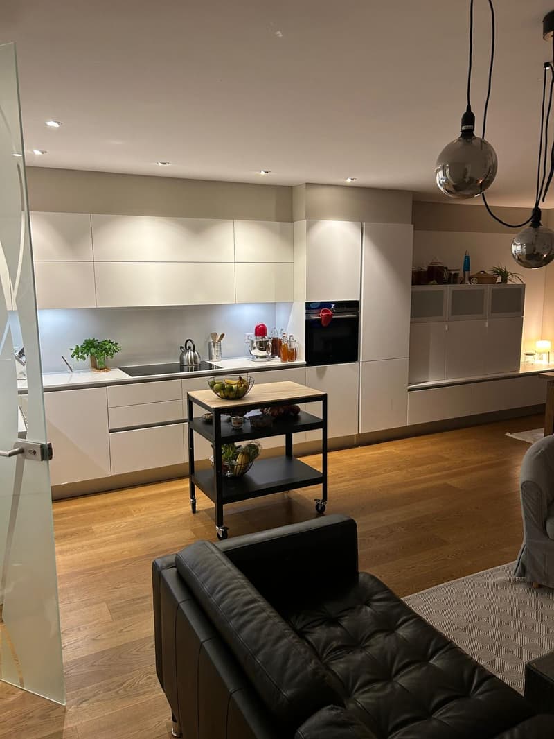 Splendido appartamento 5.5 locali a Cadempino con vista panoramica (3)