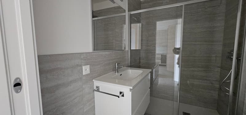 Gray walls, white countertop, modern sink with faucet, mirror, glass shower door