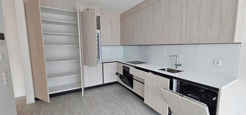 modern kitchen, open cabinets, modern appliances, white countertops, stainless steel sink, dishwasher, washing machine