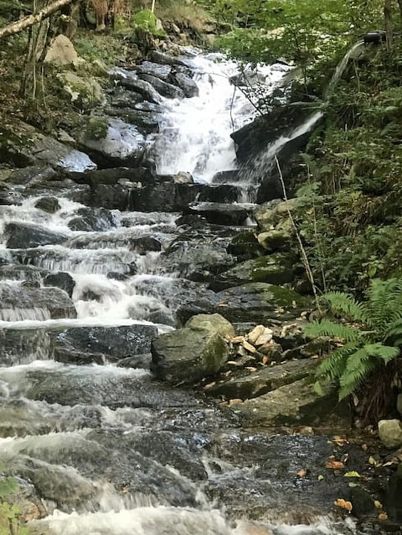 waterfall flowing down rocks, surrounded by greenery