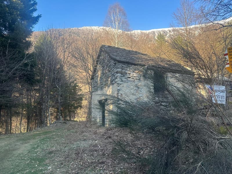 Old stone house, located on a hill, surrounded by trees, with a mountain in the background