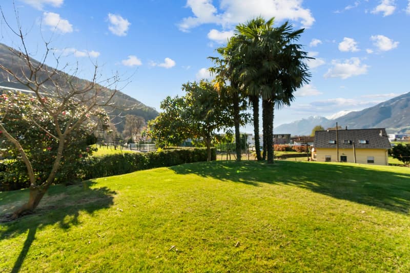 green lawn, trees, bushes, mountains in the background