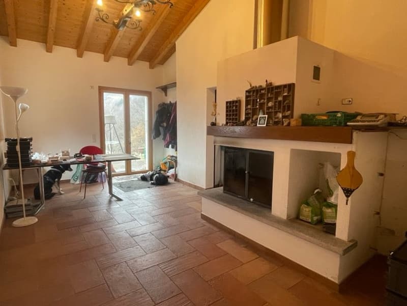 living room with fireplace, wooden floor, table, chairs, lamp, dog