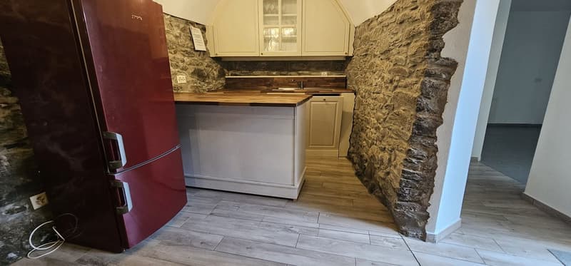 Affascinante appartamento di 3.5 locali a Monteceneri (3)