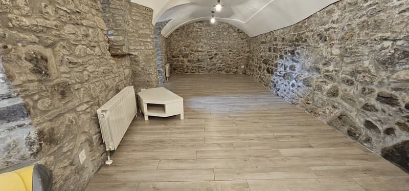 Affascinante appartamento di 3.5 locali a Monteceneri (4)