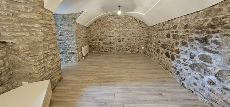 Affascinante appartamento di 3.5 locali a Monteceneri (2)