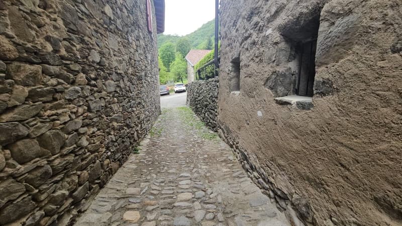Affascinante appartamento di 3.5 locali a Monteceneri (9)