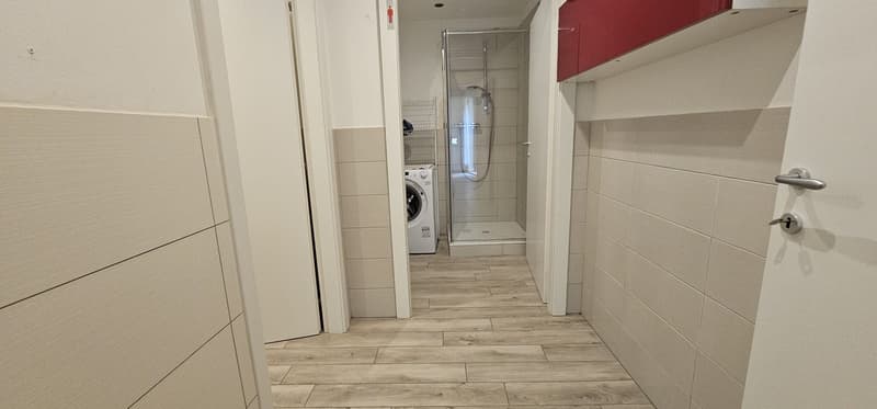 Affascinante appartamento di 3.5 locali a Monteceneri (7)