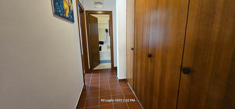 Appartamento 3.5 lo con piscina e vista panoramica a Cademario / Anche per vacanza (10)