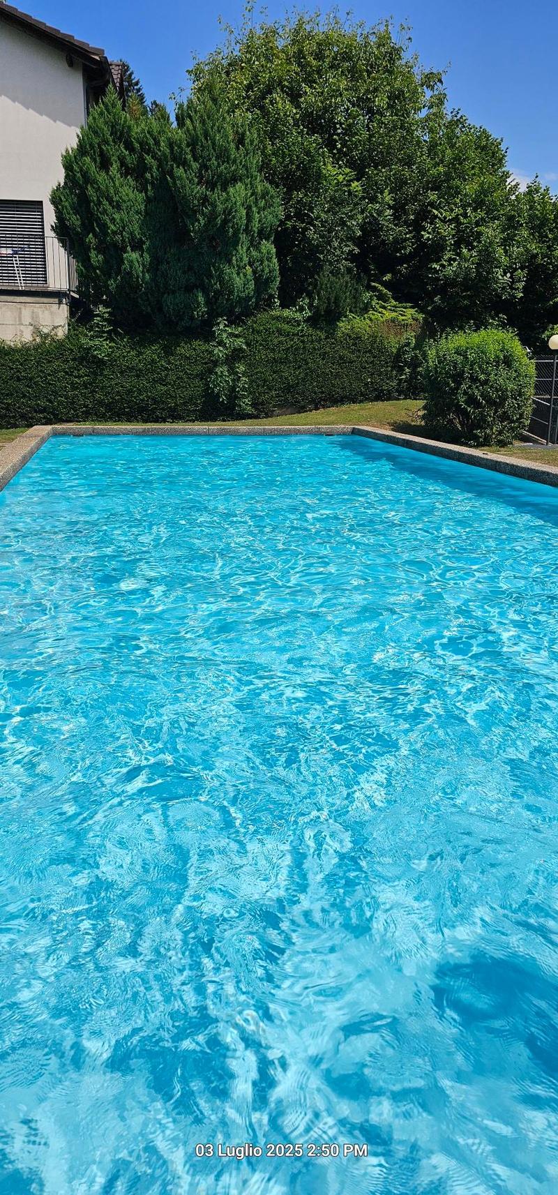 Appartamento 3.5 lo con piscina e vista panoramica a Cademario / Anche per vacanza (3)