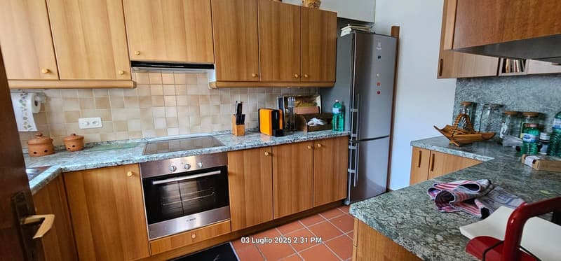 Appartamento 3.5 lo con piscina e vista panoramica a Cademario / Anche per vacanza (8)