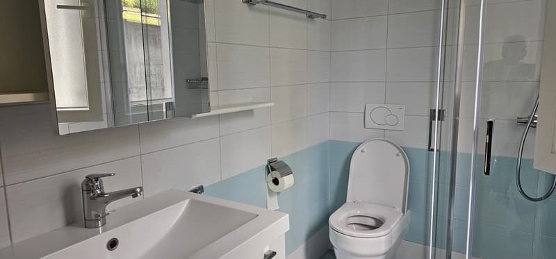 Luminoso appartamento di 3 locali cong giardino a Bellinzona – Disponibile subito (14)