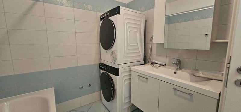 Luminoso appartamento di 3 locali cong giardino a Bellinzona – Disponibile subito (16)