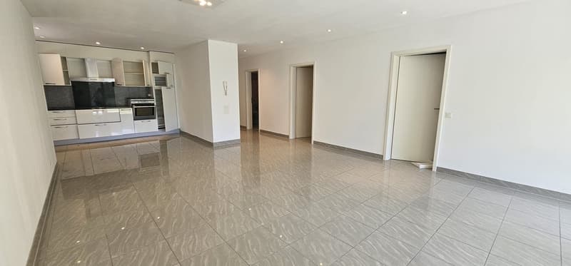 Luminoso appartamento di 3 locali cong giardino a Bellinzona – Disponibile subito (6)