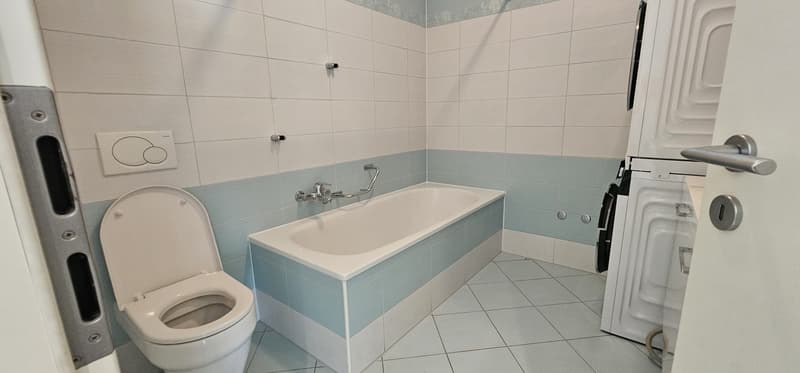Luminoso appartamento di 3 locali cong giardino a Bellinzona – Disponibile subito (15)