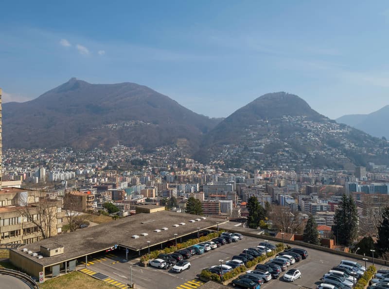 Vendesi attico con splendida vista lago (13)