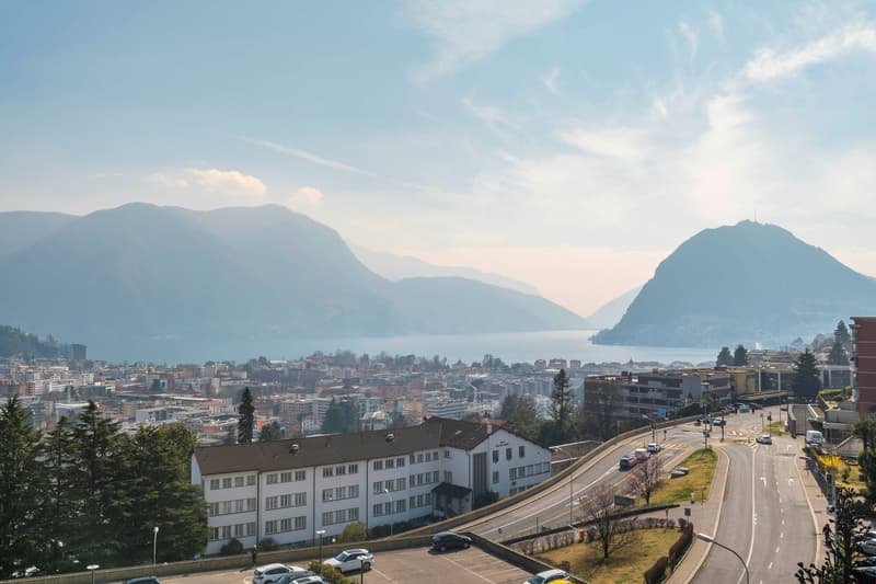 Vendesi attico con splendida vista lago (12)