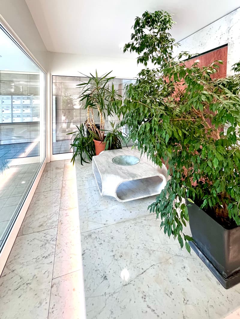 Elegante appartamento di 3.5 locali con vista panoramica a Lugano (11)