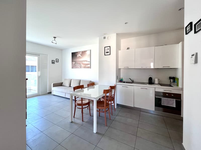 Elegante appartamento di 3.5 locali con vista panoramica a Lugano (2)