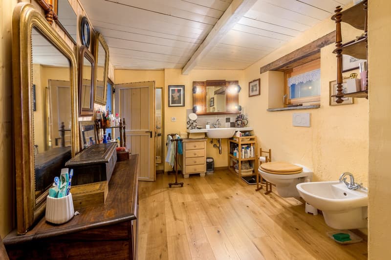 Vendesi meravigliosa casa di montagna (18)