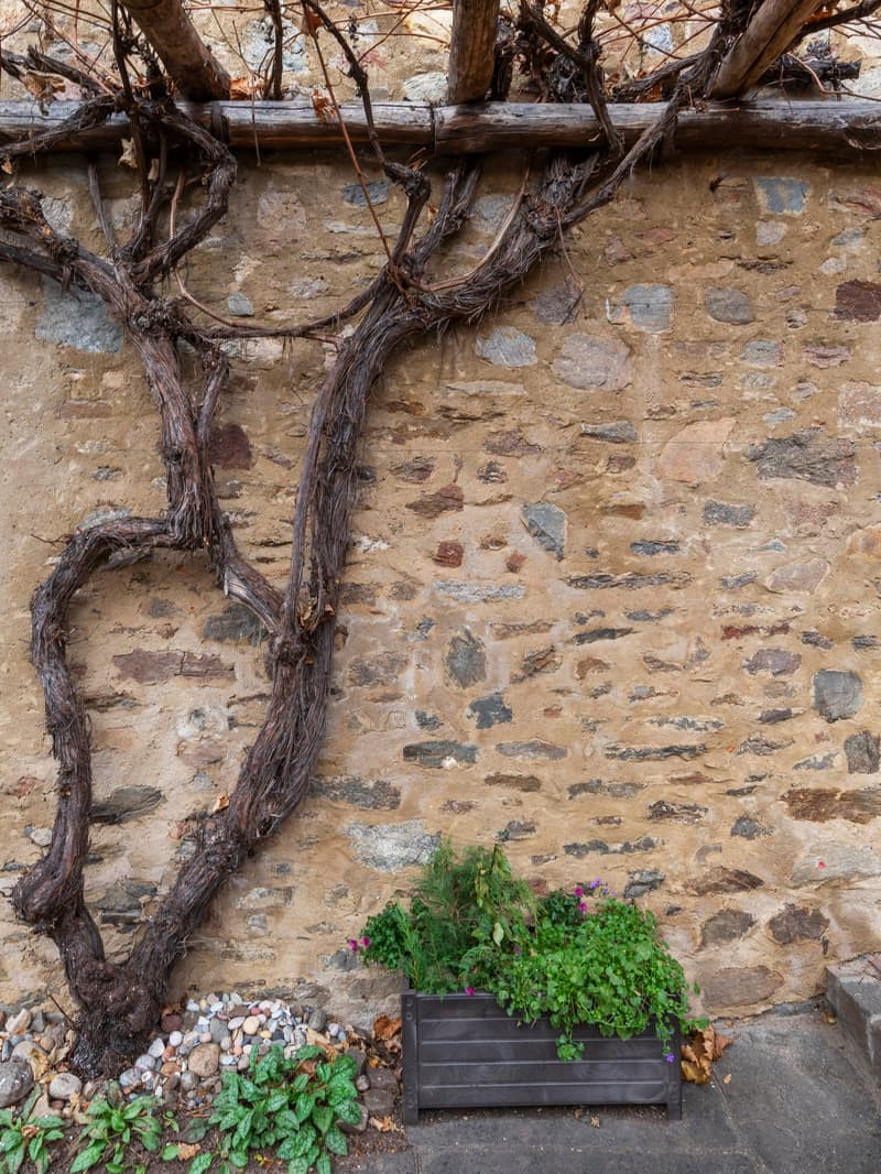 Vendesi caratteristica casa di nucleo Iseo (8)