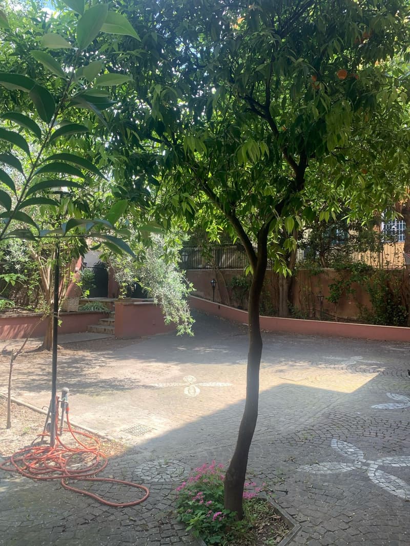 Villa di lusso ristrutturata con giardino nel cuore di Roma (8)