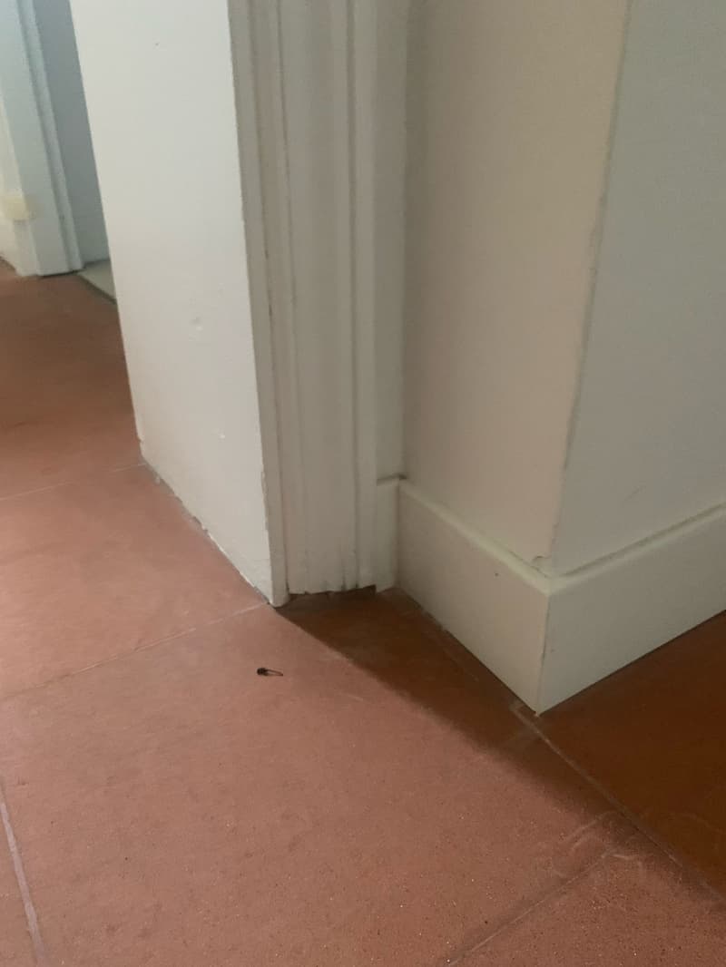 Villa di lusso ristrutturata con giardino nel cuore di Roma (22)