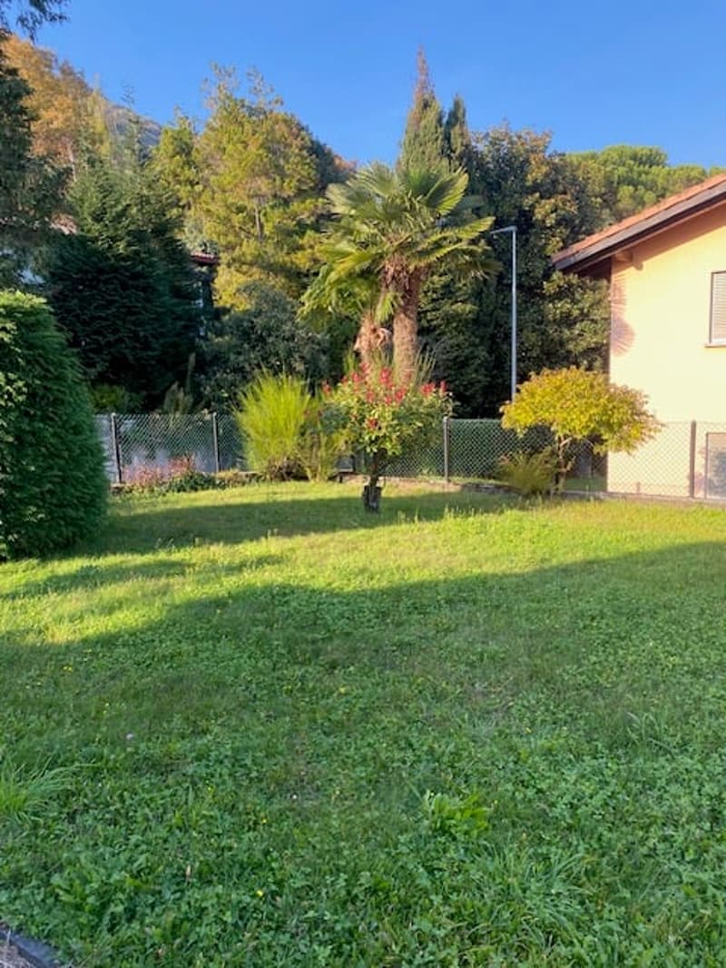 A lush green grassy garden with various plants and trees, surrounded by a fence. In the background, a house with a red roof and mountains.