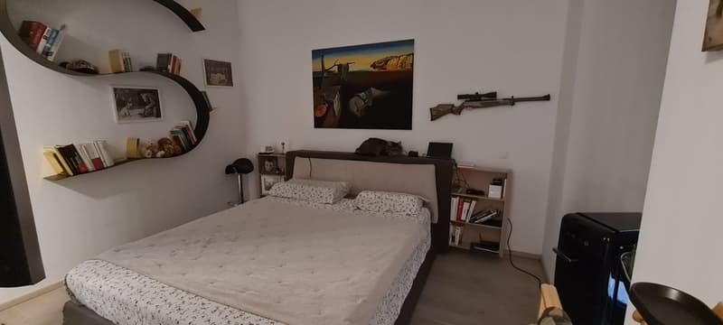 double bed, bedside shelves, bed headboard, cat, floating shelves, books, mounted artwork, gun