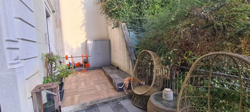 Patio area with wooden floor, chairs, dog, plants, small shed, plants and bushes in the background.