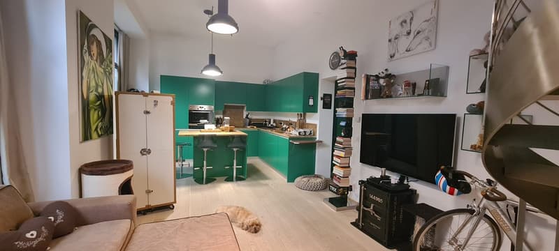 Living room with kitchen bar, wooden floor, sofa, TV, shelves with books and decorative items, bicycle against wall