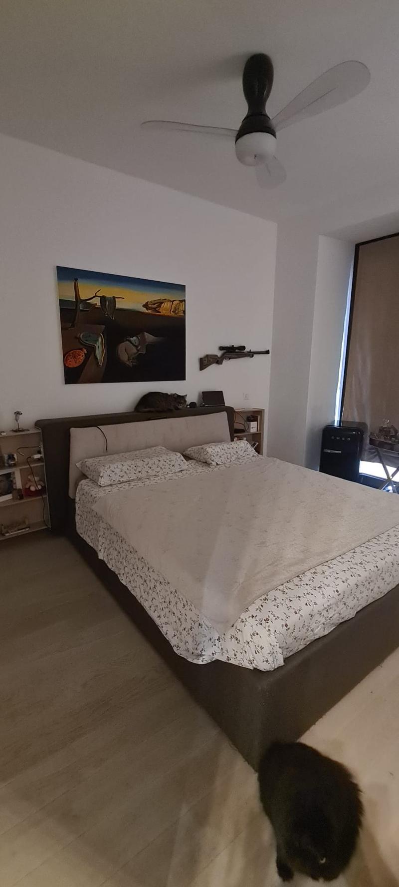 Large bed with pillows, white bedsheet, bed frame, bed side table, ceiling fan, wooden floor, cat, artwork, shelf, refrigerator
