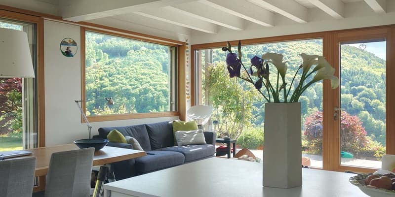 large windows, couch, table, flowers, view of the mountains