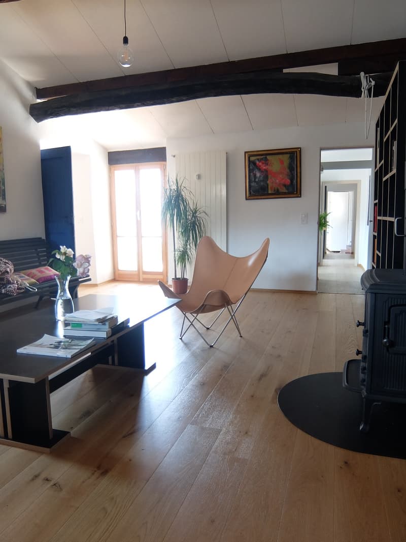 Si affitta a Gandria straordinario appartamento con giardino e vista lago (17)