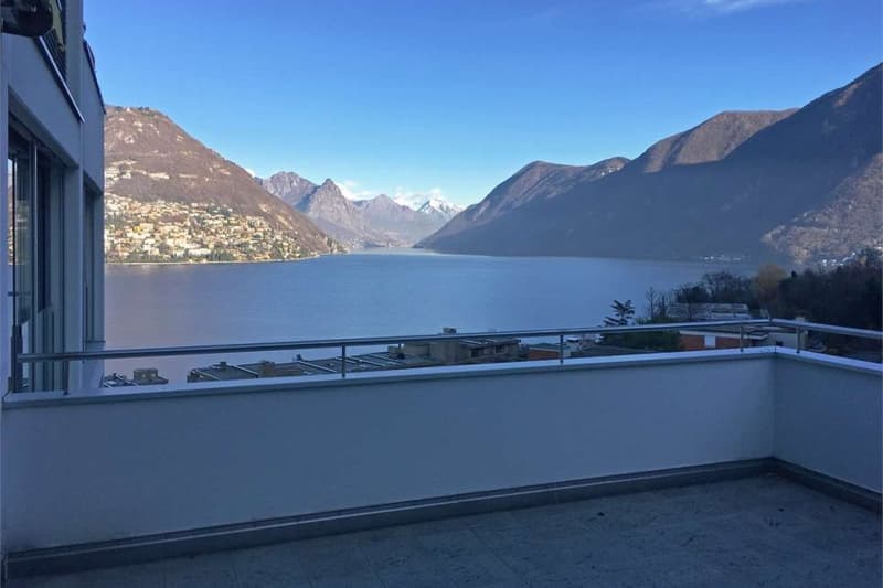Ampio appartamento 4.5 locali di mq 150 a Paradiso (3)