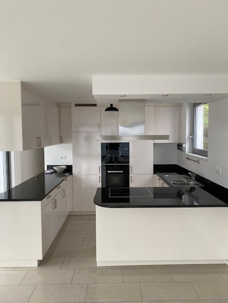 Ampio appartamento 4.5 locali di mq 150 a Paradiso (6)