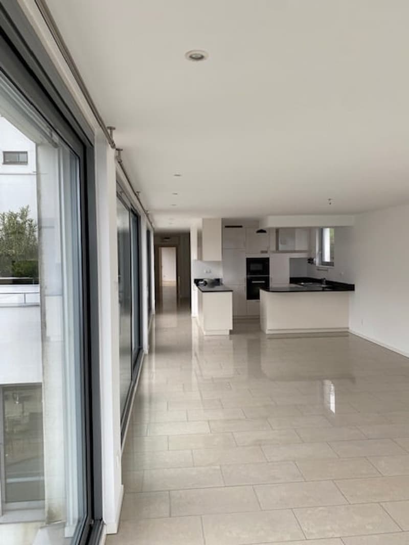 Ampio appartamento 4.5 locali di mq 150 a Paradiso (5)